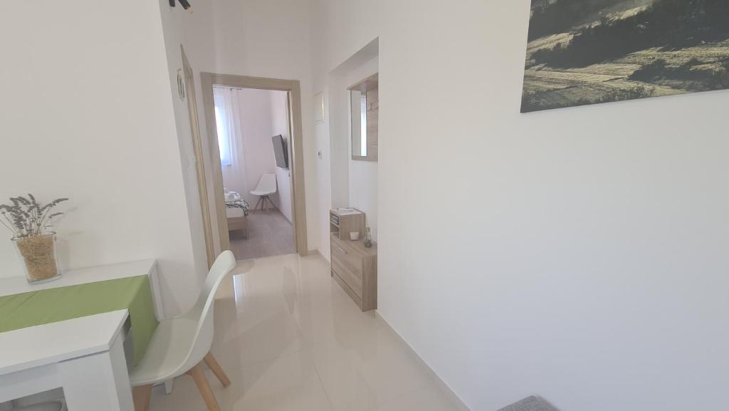 Apartments Jana photo 1