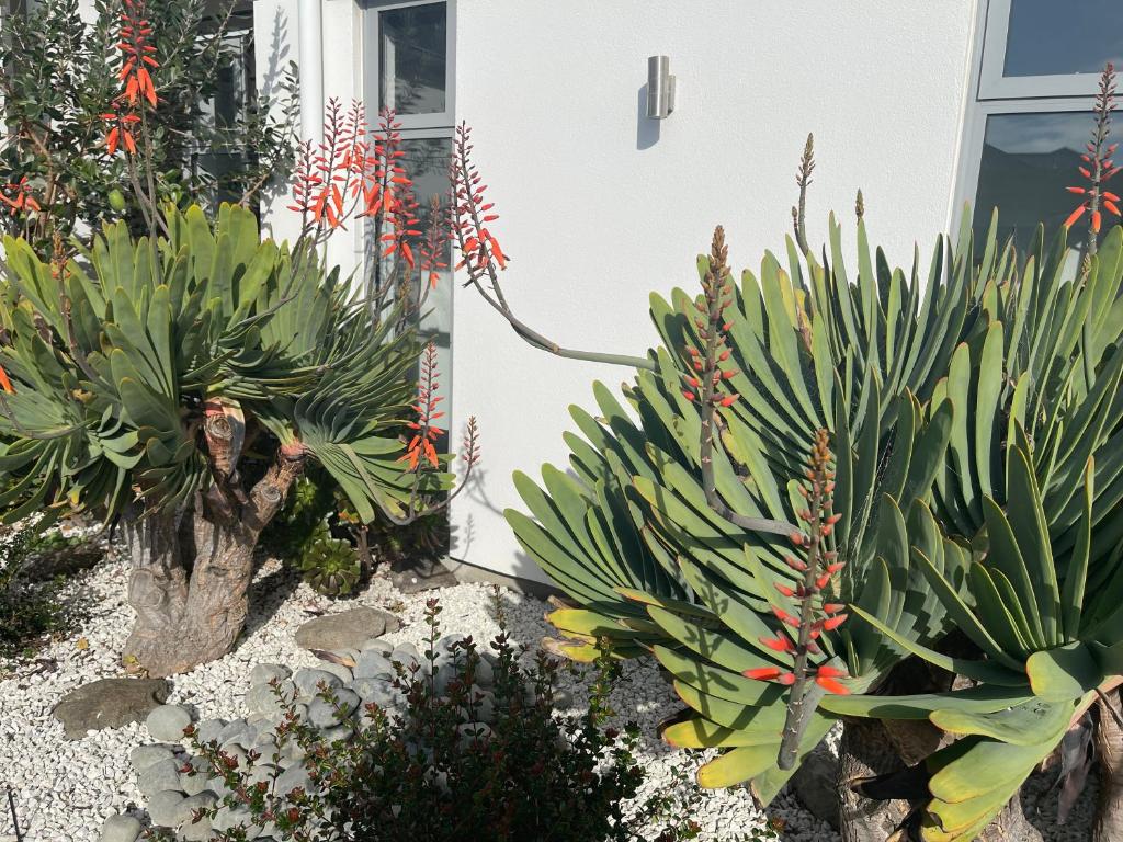 Stunning park side holiday home photo 2