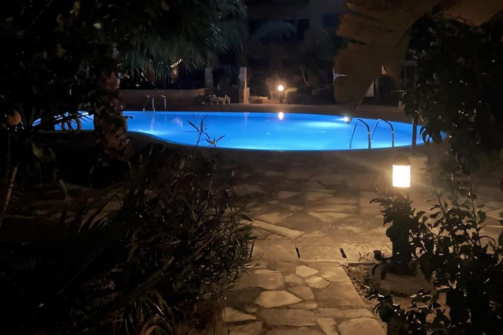 Blue Nest at Mandria Gardens photo 4