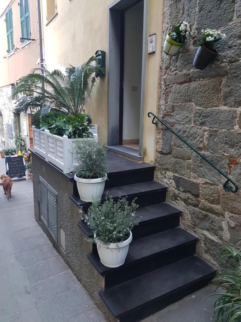 Casa Mafalda photo 2