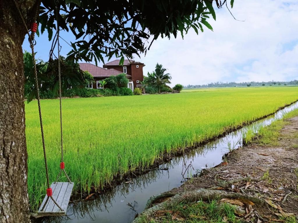 Izz Homestay Sawah Padi Sungai Besar ! photo 4