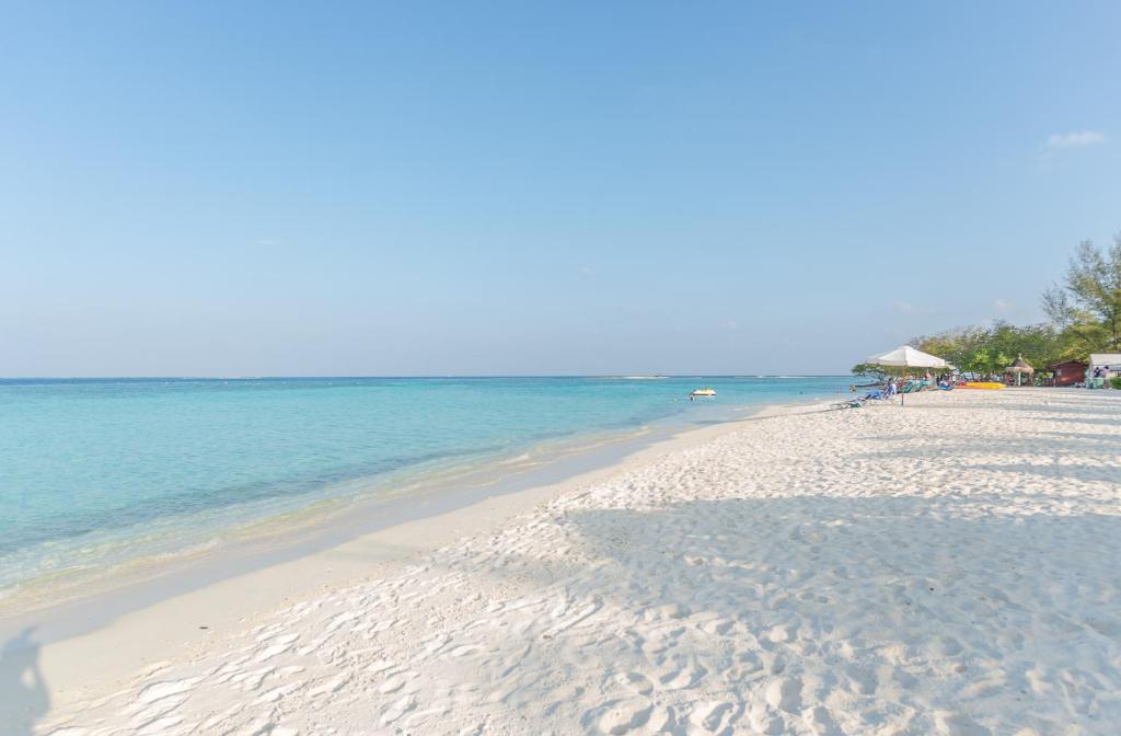 Premier Beach photo 3