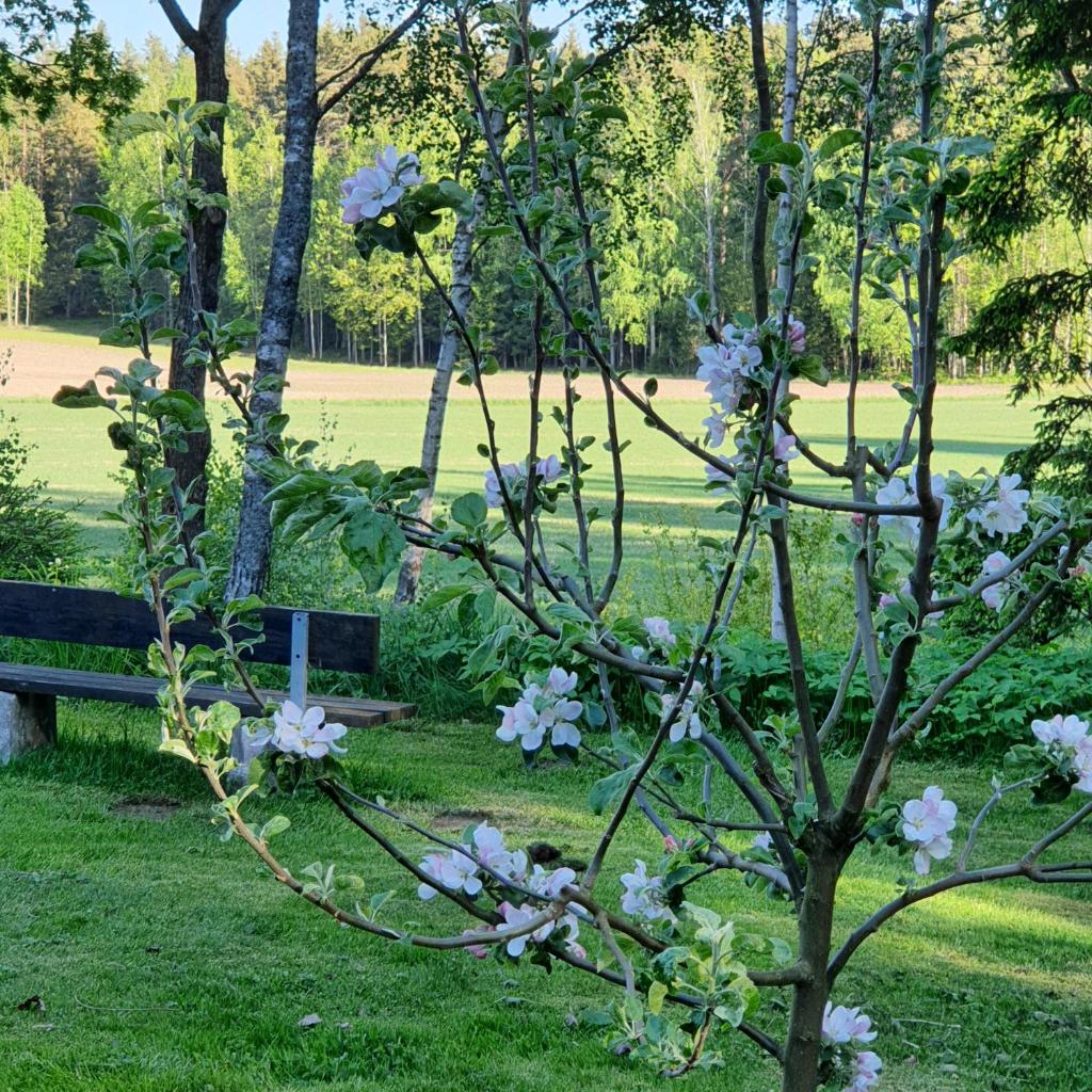Torpet Gårdsvägen photo 4