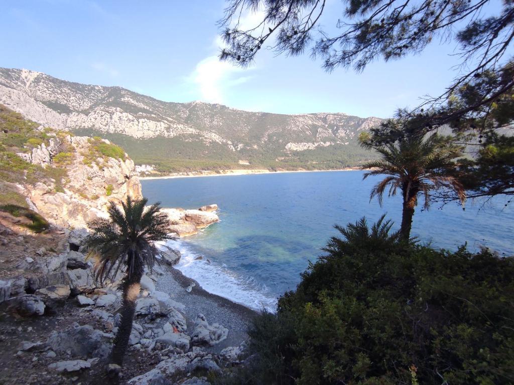 Hurmalık Apart Evleri-Very Close to the Sea Large Garden Bungalow with Barbecue and Swing photo 4