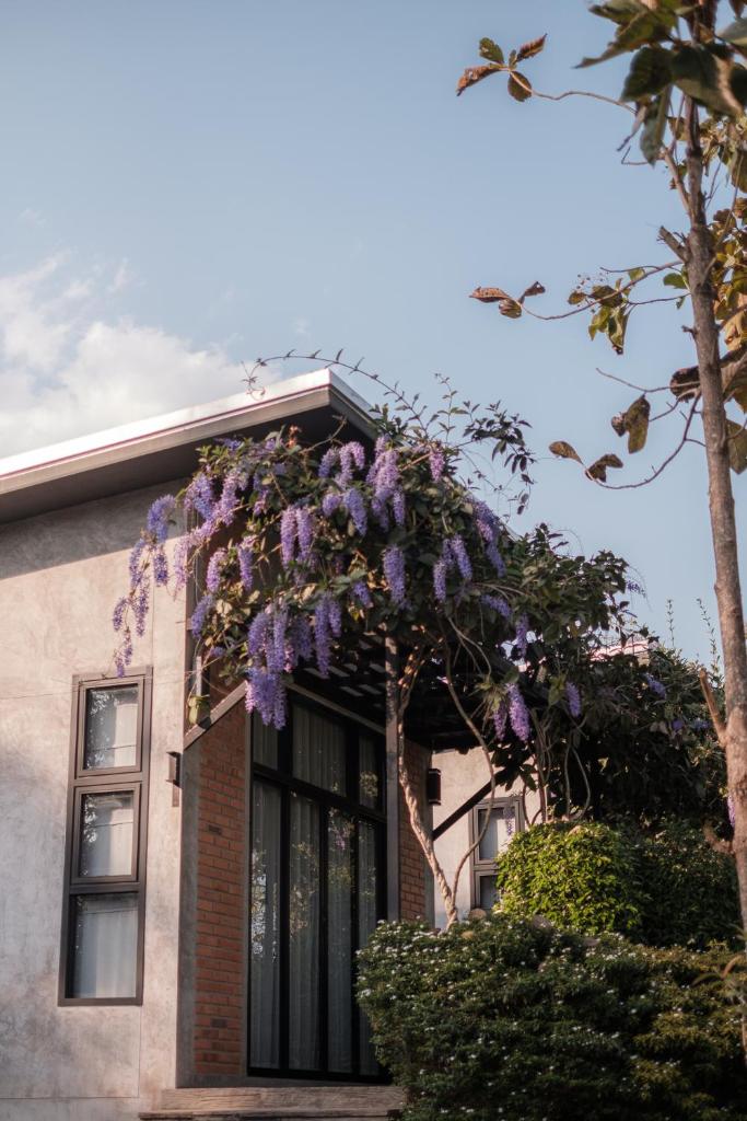 Casa Foresta Nan photo 4