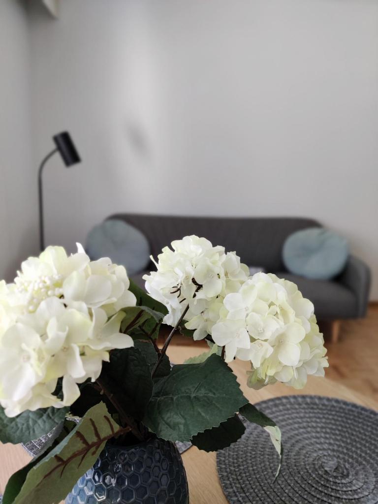 Niinivaara apartment saunallinen ja ilmastoitu majoitus photo 4