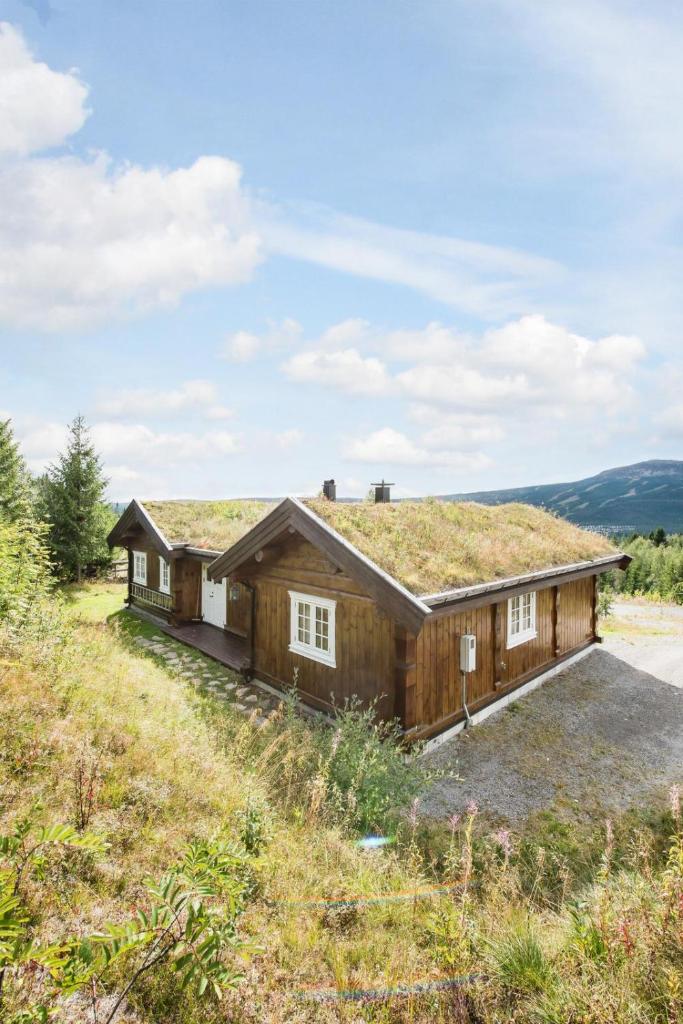 ReveEnka - cabin in Trysil with Jacuzzi for rent photo 3