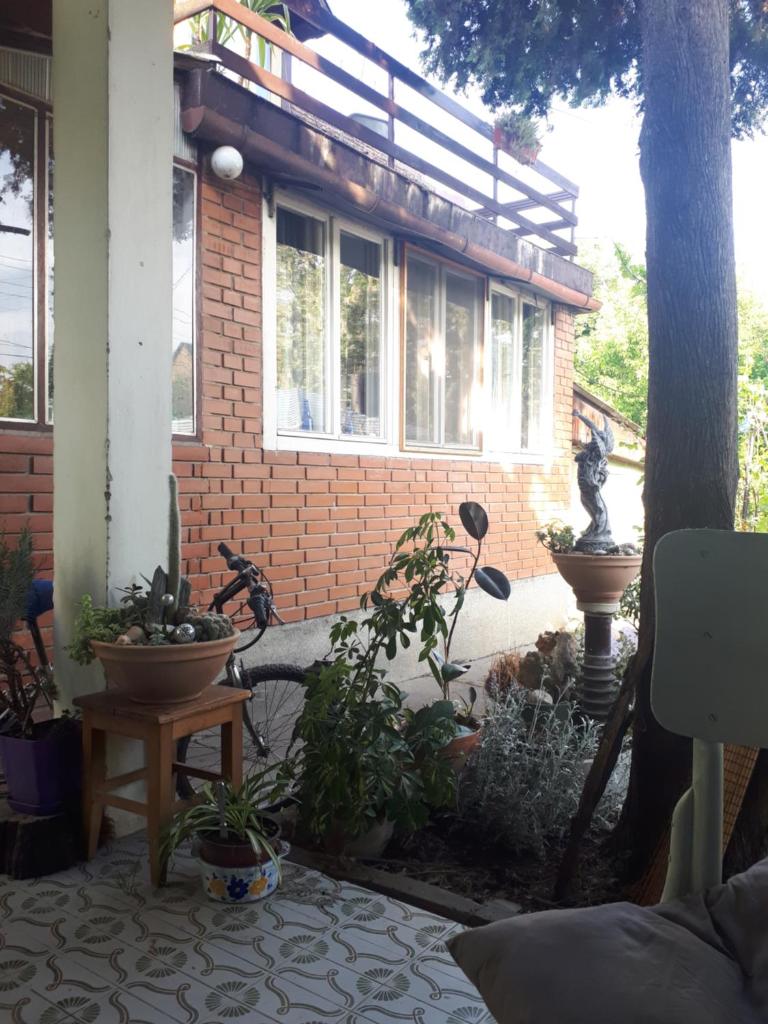Garden Room photo 2