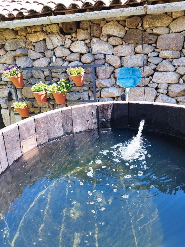 Casa Elvira photo 3