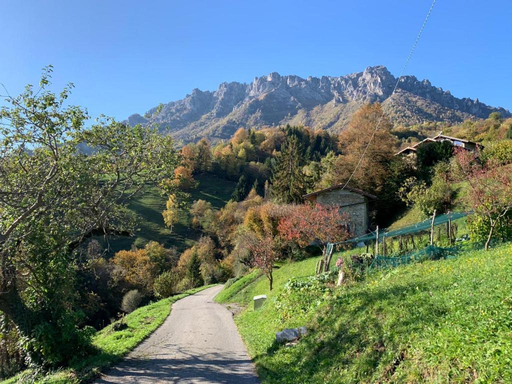 La casa del bosco photo 1