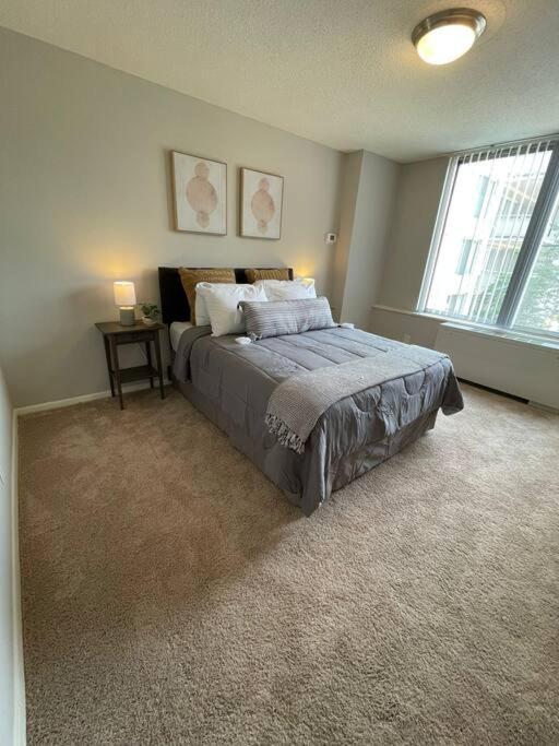 Trendy and Adaptable Accommodation in Crystal City photo 1
