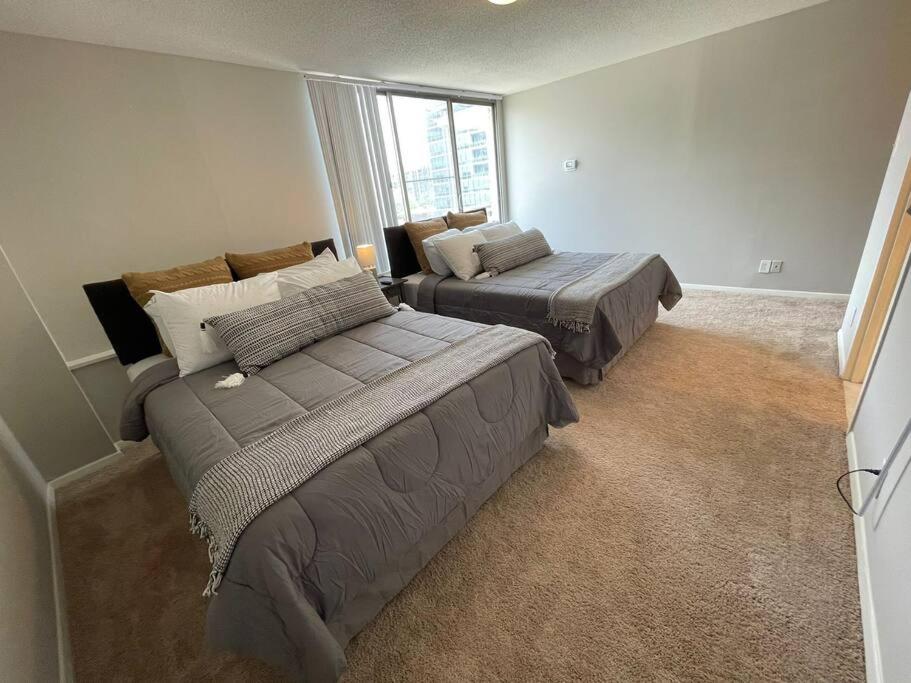 Trendy and Adaptable Accommodation in Crystal City photo 2