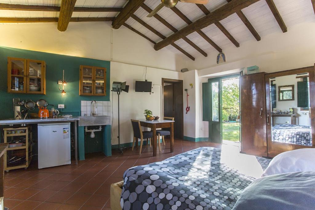 casina MeMe photo 3
