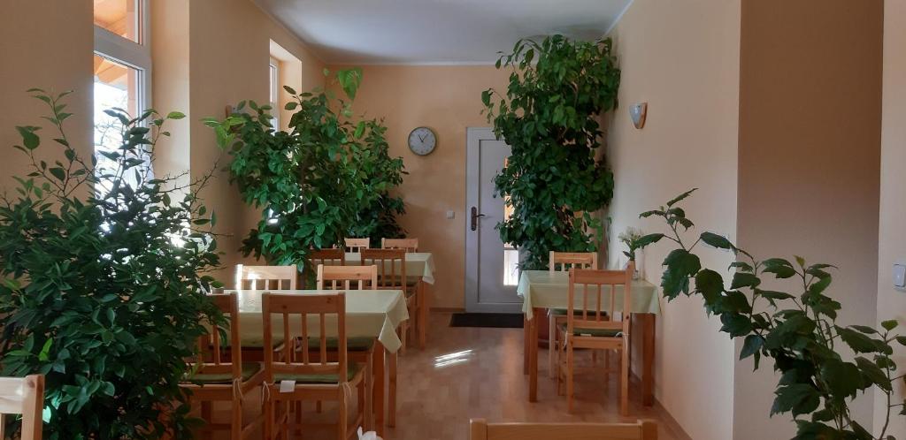 Pension Lehmann photo 1