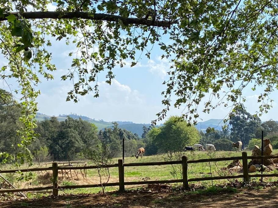 Yellowwoods Farm - WILLOUGHBYS COTTAGE and OLD STABLES COTTAGE