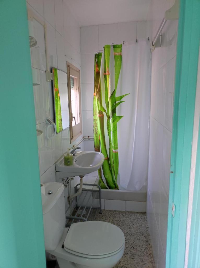 Casa Albano photo 3