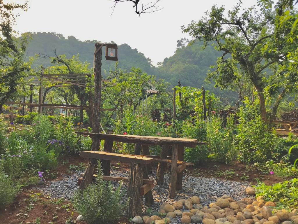 Plum Hill - Moc Chau