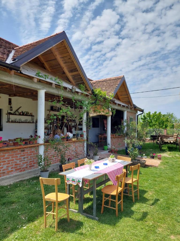 Amanet House Zasavica photo 2