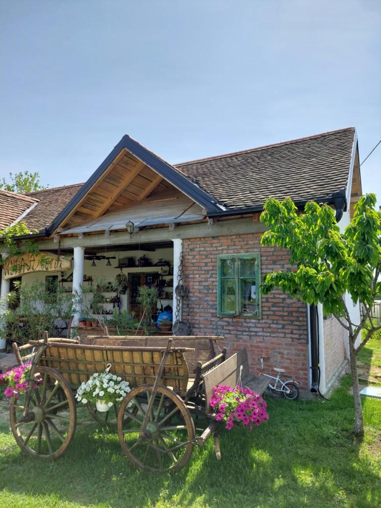 Amanet House Zasavica photo 3