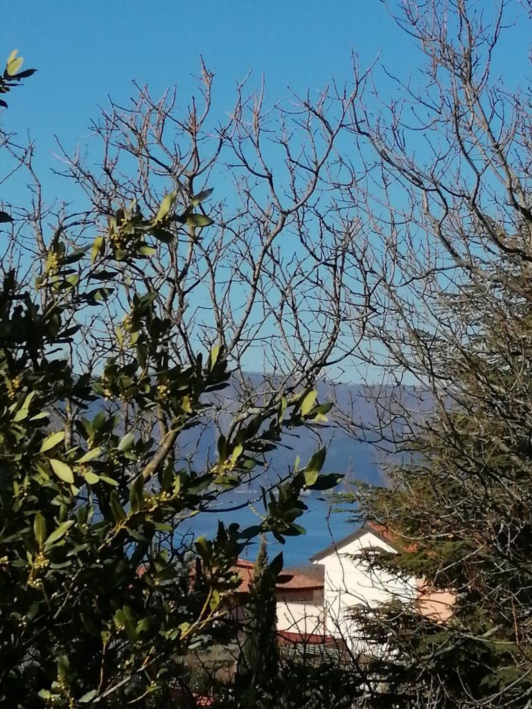 Haus Convallaria photo 1