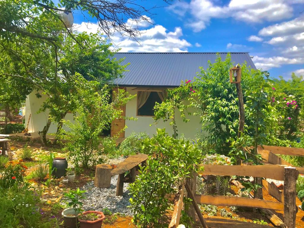 Plum Hill - Moc Chau