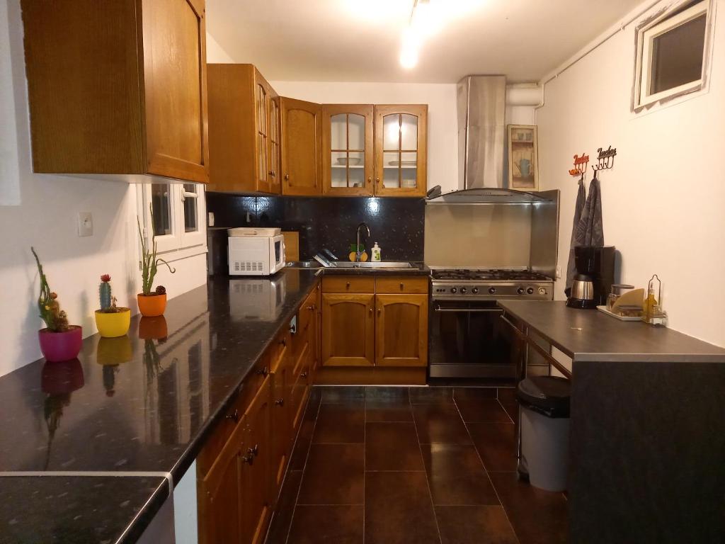 Moissac Charmant Appartement avec Jardin photo 2
