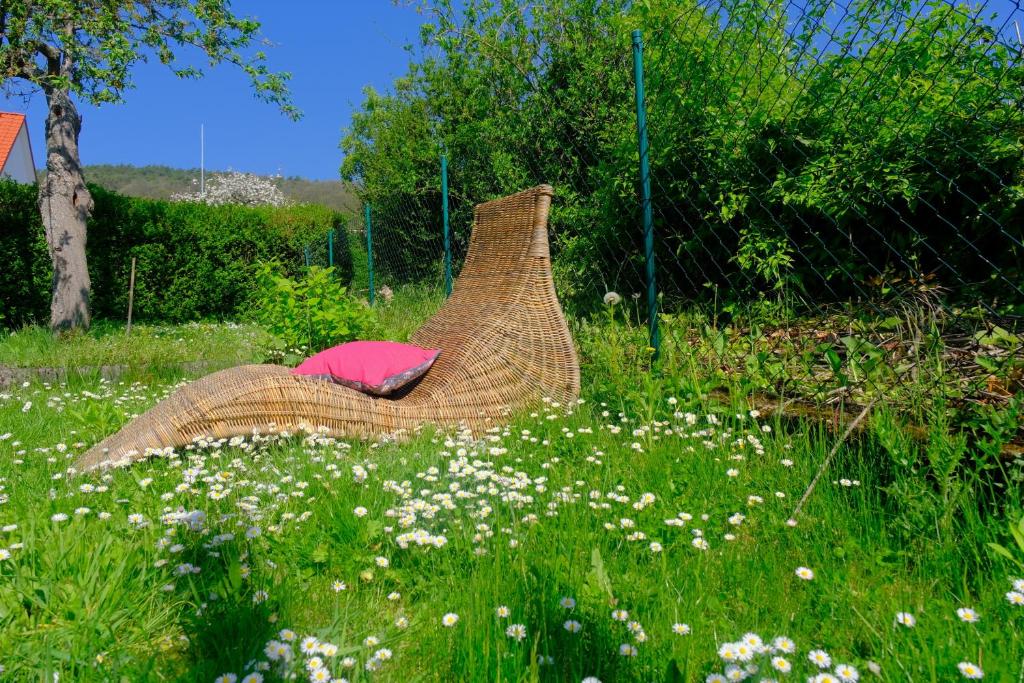 Ferienweingut Wissing Wohnung Frieda photo 1