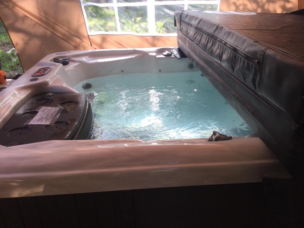 Maison luxe Collonges la rouge,jakuzzi,clim,WIFI,piscine photo 3