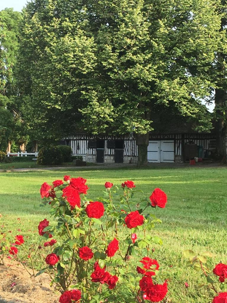 La Gloriette gîte situé Dans La propriété Dun magnifique manoir photo 1