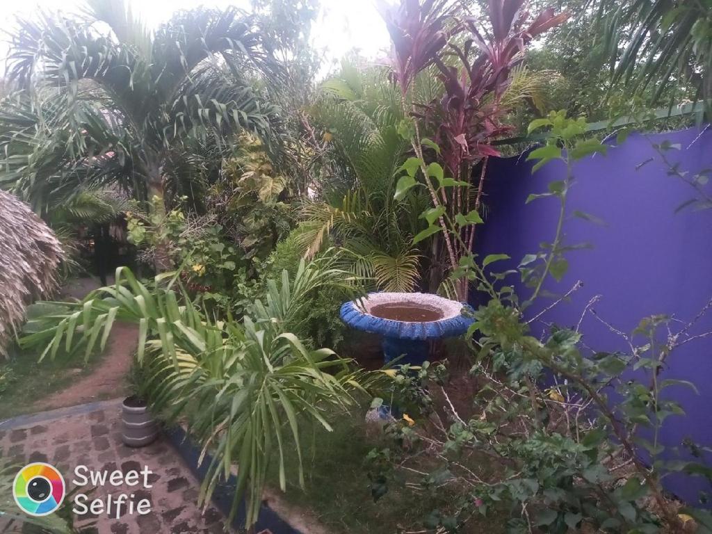 La Cascada Hostel & Restaurant photo 4