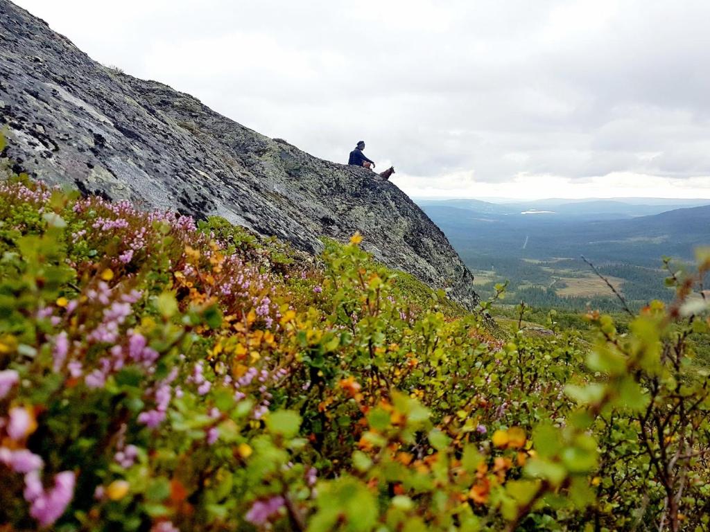 Renfjällsgården photo 1