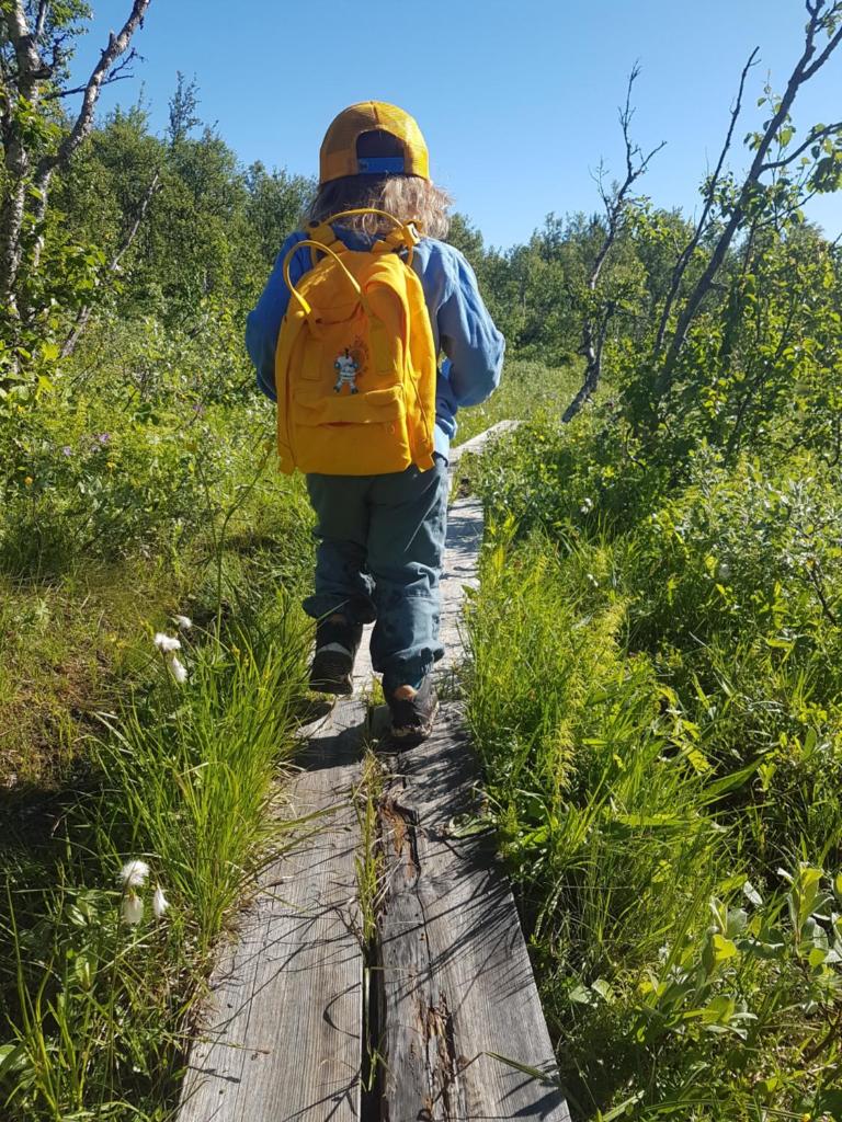 Renfjällsgården photo 4