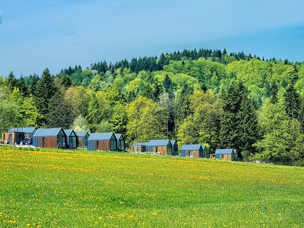 Klimkówka Pod Gwiazdami photo 1