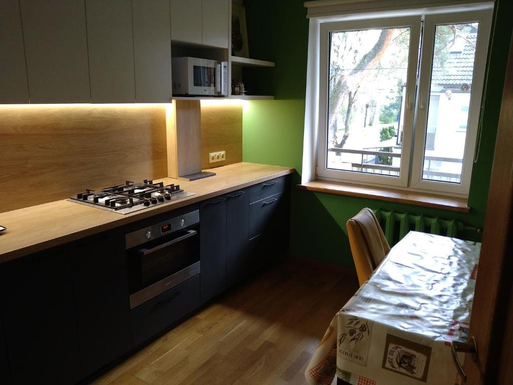 Brivibas Avenue Apartment photo 2