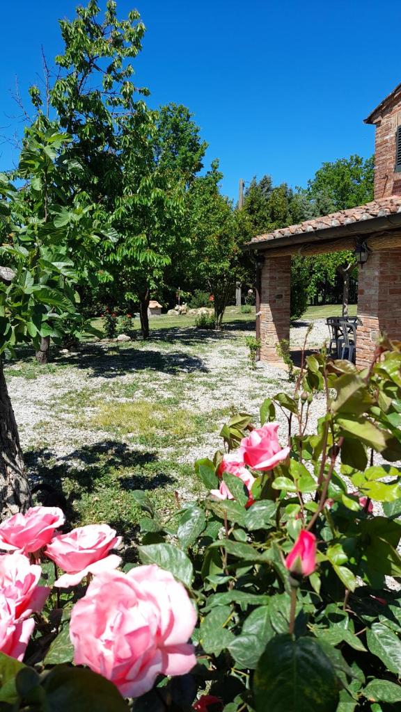 Come in agriturismo - Montepulciano - Vacation in Tuscany photo 2