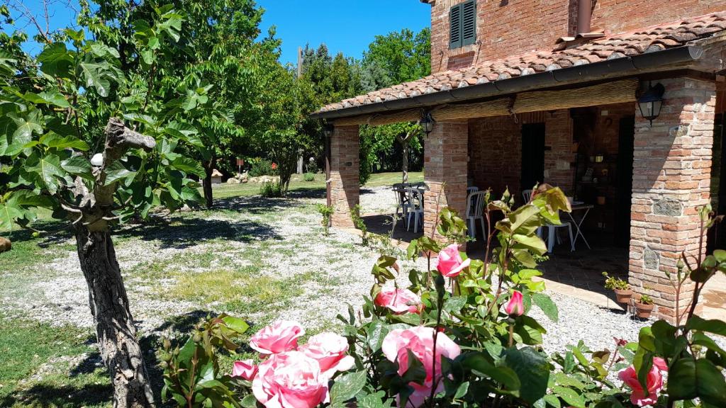 Come in agriturismo - Montepulciano - Vacation in Tuscany photo 1