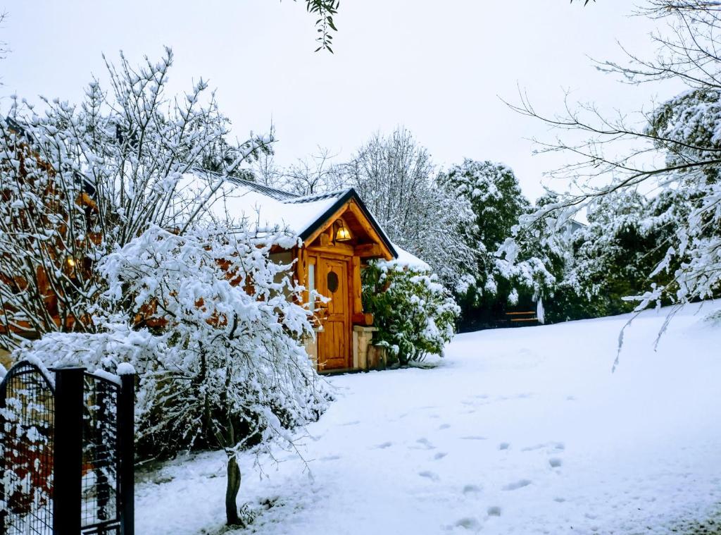 Blue Bird House photo 1