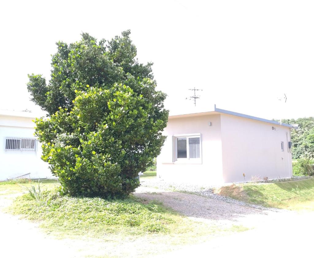 TANDI GA TANDI - Vacation STAY 12993