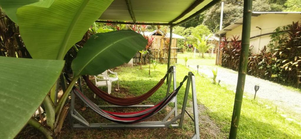 Starfish Cahuita's House - Casa Vacacional photo 3