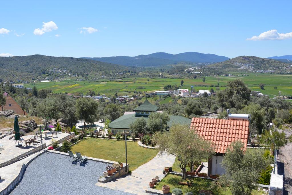 Olive Garden Retreat photo 4