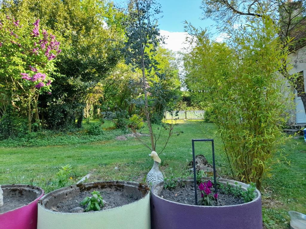 Domaine Pastel photo 2
