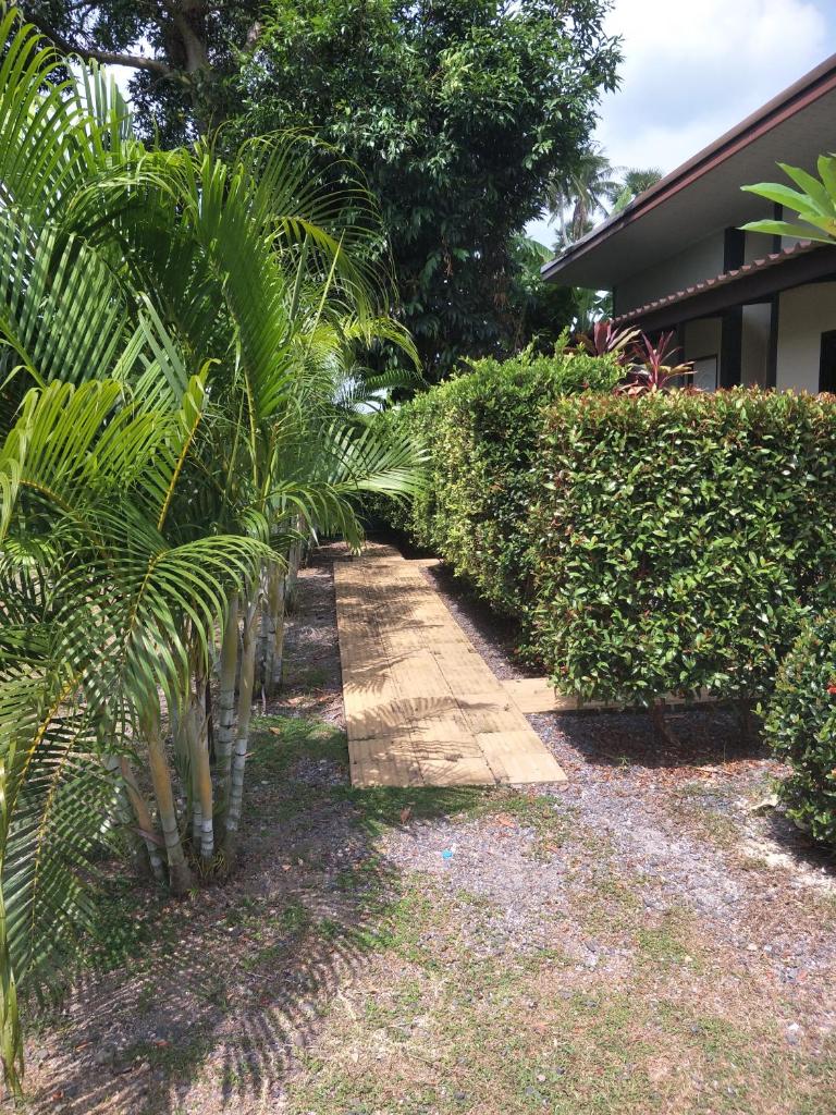 Airee Mini House photo 3