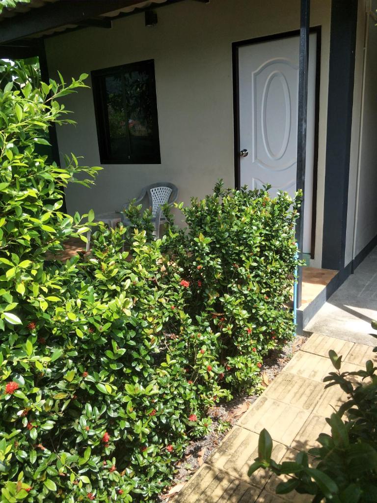 Airee Mini House photo 4