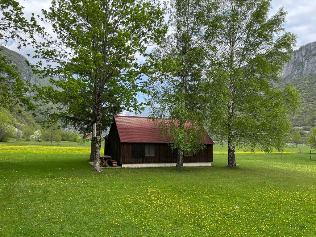 Mountain Cottage Komarnica photo 1