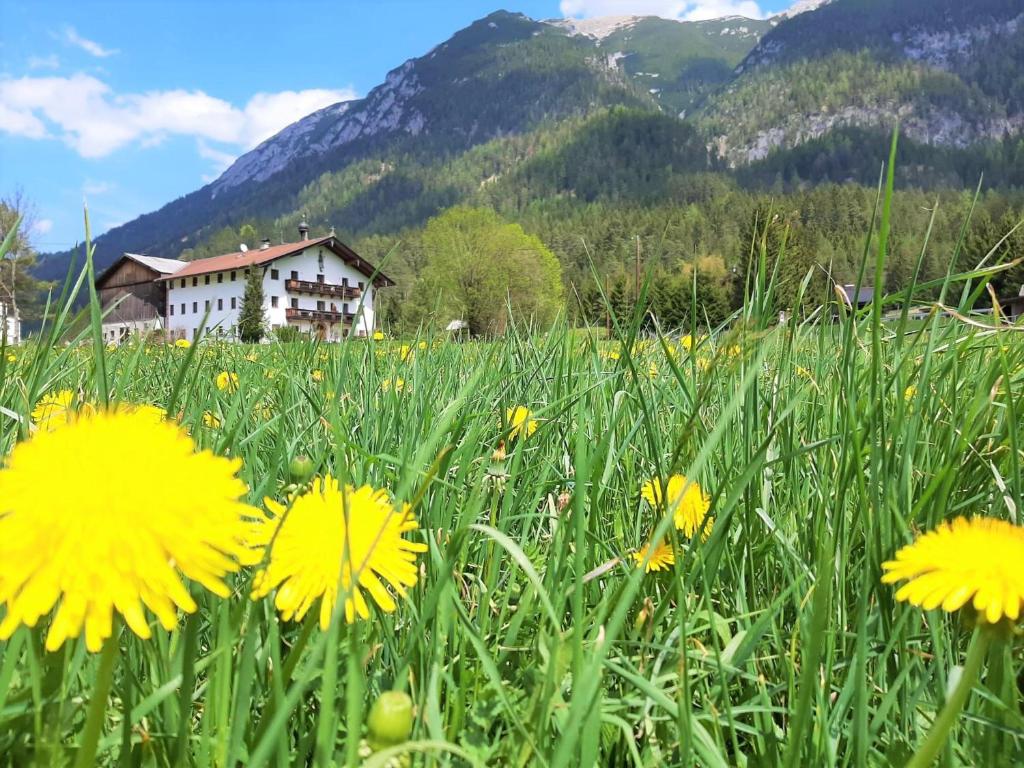 Pulvererhof photo 1