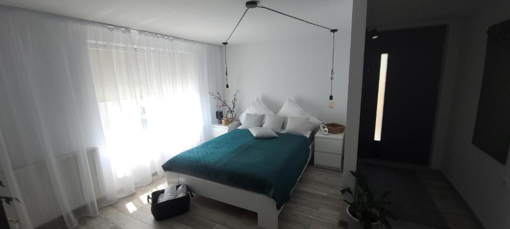 Apartamenty Pod Uwalonym Dębem photo 1