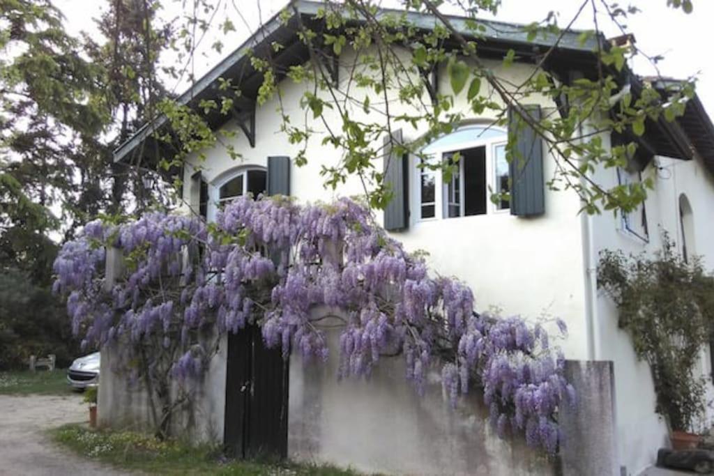2 Bed apartment on the Dordogne River photo 4