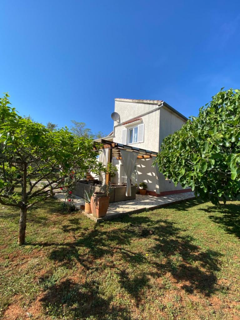 Beautiful island house Ugljan photo 3