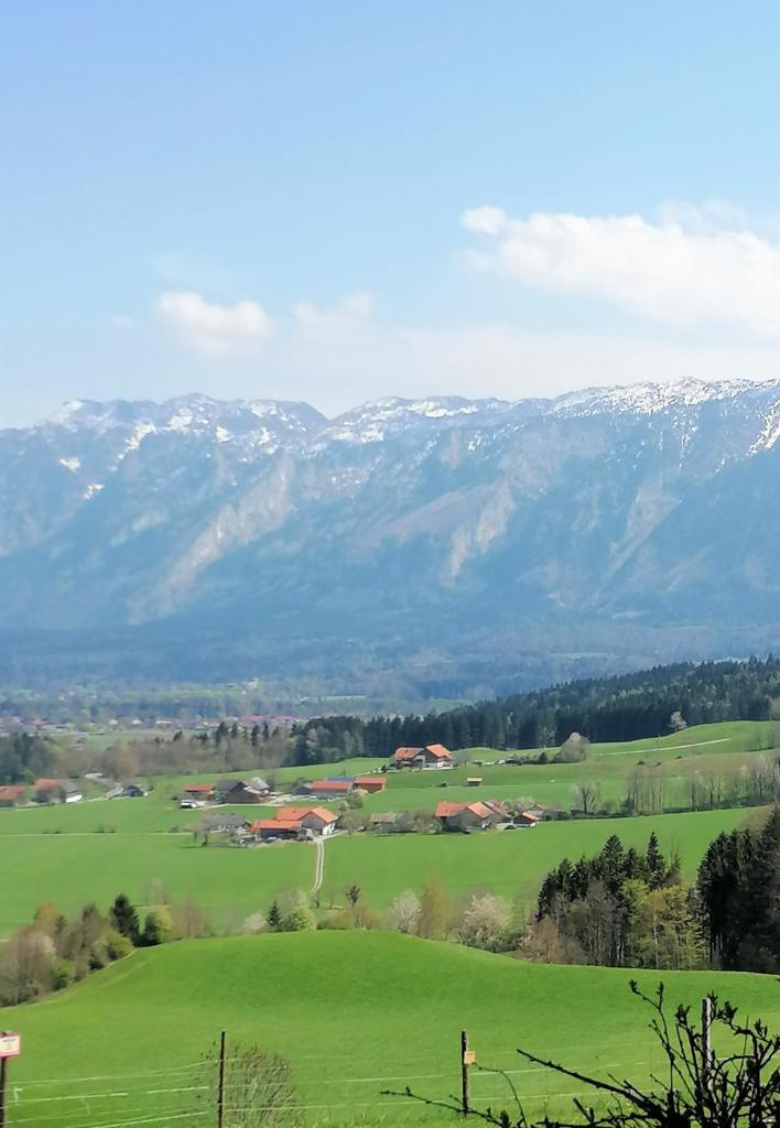 Hölbinger Alm - Apartments photo 3