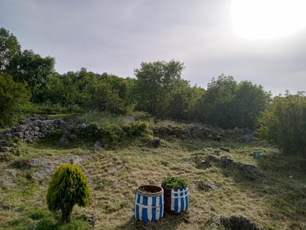 Country stone house Kovacevic photo 2